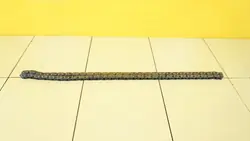 Kedja för ventilregister OEM 368DT till Range Rover L322 3.6 TD V8