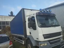 Tageskabine DAF LF 45/55 OEM KABINA DZIENNA DAF LF 45 55 06-13 rok koła r 22.5 leszko77 qba qwerry
