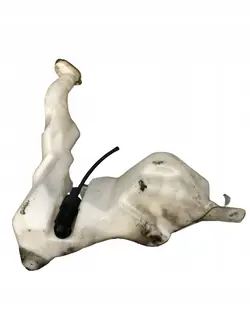 Vloeistofreservoir Master II 8200146985