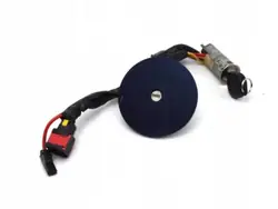OEM 300536 Contactslot met Sleutel voor Peugeot 206