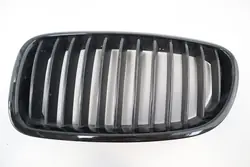 BMW 5 Series F10 F11 Left Grill 51712165539 OEM