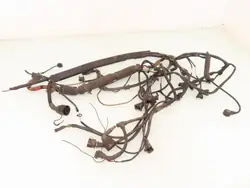 BMW Motor Kablage för E46 318 M43B19