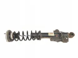 Amortizzatore posteriore sinistro BMW 7 F01 F02 F03 F04 con molla OEM 6794137