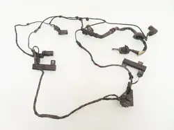 Parkeringssensorer bak kabeldragning Keyless Audi A8 D3 4E0971104P