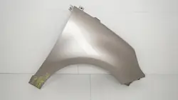 Guardabarros delantero derecho OEM 360204107 Renault Scenic III