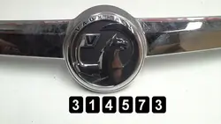 Opel Insignia 2011 Kofferraumgriff OEM AM-314573
