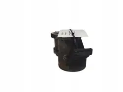 Vacuum Pomp Renault Trafic II (X83) OEM JUT203780