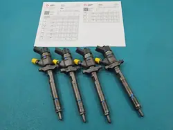 Testattu ruiskutusarvo OEM 0445110239 Peugeot 307 1.6 HDI