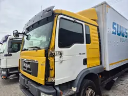 MAN TGL/TGM Niedrige Schlafkabine OEM - Gelb gebraucht