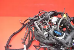 Faisceau intérieur OEM mamAUTO-1010252 Opel Ampera-E