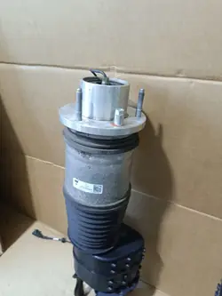 Amortisseur Porsche Taycan Avant OEM 234314232223332232456