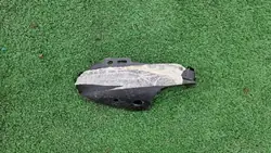 Copertura specchio destro Renault Megane IV 963053102R