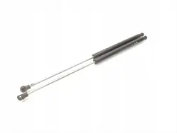 Takaluukun iskunvaimennin Renault Laguna 2004 Estate 8200000903C