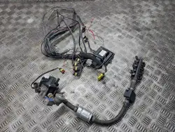 Stag LPG-sarja OEM 67R-017009 - Käytetty kunnossa
