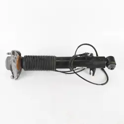 Amortisseur Arrière Gauche OEM 6867869 BMW X5/X6