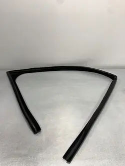 Jaguar F-Pace Fronttür-Fensterdichtung OEM FBZ18891