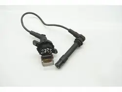 Bobina di accensione Land Rover Freelander 2.5 V6 4x4