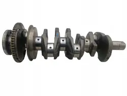 Vilebrequin OEM 8200385152 pour Renault Laguna III 2.0 DCI