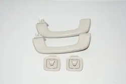 Vordere Rechte Griffstange OEM 06441616B für BMW i3