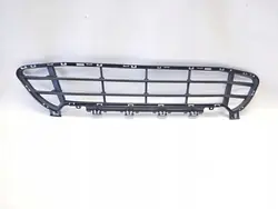 Griglia paraurti BMW X1 F48 LCI 2019-2021