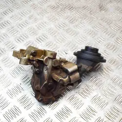 Gebrauchte Porsche Ölpumpe OEM 06E105AN für Cayenne
