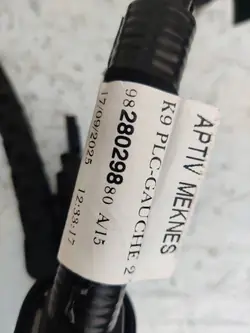 Schiebetür-Kabelbaum Citroen Berlingo OEM 9828029880