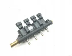 Carril de inyección GLP OEM 67R-010256 - Usado