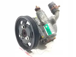 Bomba de direção assistida Renault Thalia II 491102028R