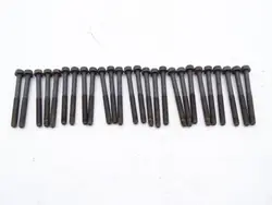 DAF LF 45/55 6.7 E4/5 cilinderkopbouten - OEM