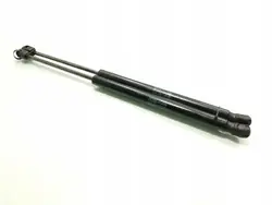 Hyundai OEM 5934400660N takaluukun vaimennin Santa Fe 2007