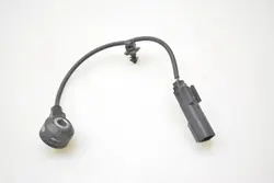 Sensor de batida Opel OEM 12666664 1.0 Gasolina