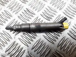 Injecteur VW Golf 2000 1900tdi 028130202p