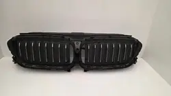 Grille Chrome BMW G30 G31 OEM 7497281 Occasion