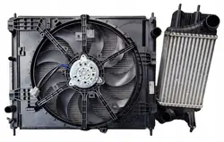 Kompletta kylare Nissan Juke 1.5dCi 2010-