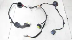 HYUNDAI SANTA FE III LIFT Fiação da Porta Traseira Esquerda 91650-2W041