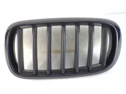 BMW X5 F15 X6 F16 Left Kidney Grille Original Black M-Performance