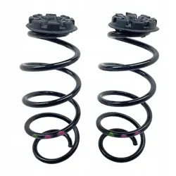 Molas traseiras Renault Clio V 540104134R