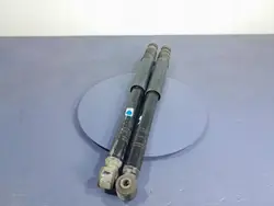 DACIA SANDERO III Ammortizzatori Posteriori Set 562102144R