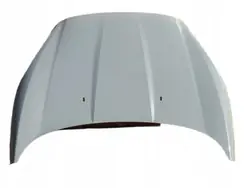 Ford OE C1BB-A16854 Voor Motorkap - Grijs
