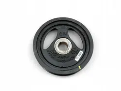 Polia do virabrequim 1.0 TCE H4D Renault Dacia 123033842R