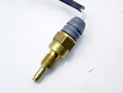 Capteur de culasse OEM D2BA-6G004-AA pour Ford