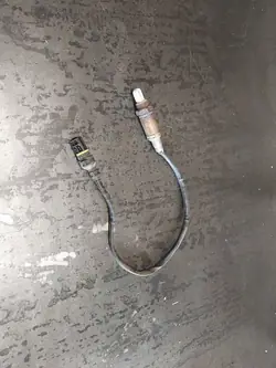 Sensor Lambda BMW 3 E46 325ti M54B25 OEM 7503441-02