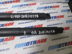 BMW 7200543 OE Kofferbakschokdemper voor F07