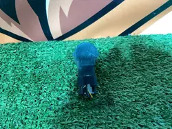 PDC Sensor Bak Land Rover Discovery Sport L550 OEM