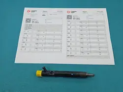 Injecteur Delphi testé OEM EJBR05102D pour Renault Kangoo