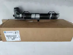 OEM 23962849 Clignotant gauche LED pour rétroviseur Peugeot