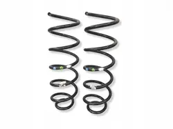 Mola Traseira OEM 8956 para Peugeot Partner IV