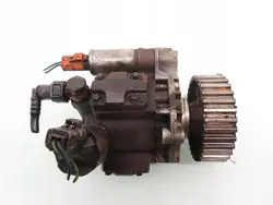 Aufgearbeitete Einspritzpumpe 5WS40008 FIAT PEUGEOT