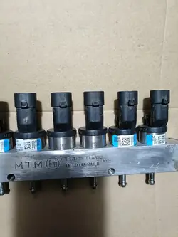 Injetores BRC Limpos por Ultrassom 09SQ99020021