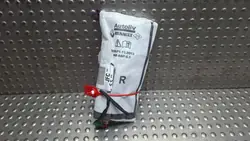 Sätes Airbag-kudde Höger OEM S17945069 Renault